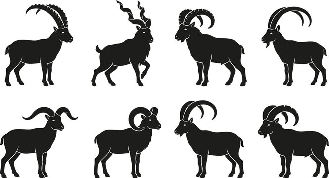 Horned Mountain Goat And Wild Ram Silhouette Icon Set Featuring Alpine Ibex Markhor And Bighorn Sheep Profiles