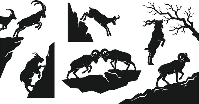 Mountain Goat And Bighorn Sheep Silhouette Set Featuring Ibex Ram Clashing Horns Climbing And Jumping Rocky Cliffs
