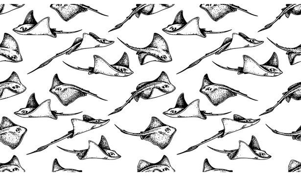 Hand Drawn Stingray Seamless Pattern Vector Fish Background