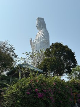 Giant White Guanyin Bodhisattva Statue Rising Above Lush Garden