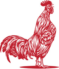 Rooster vector illustration © Rejwon