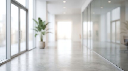 Fototapeta premium Modern office hallway with glass walls and polished concrete floor