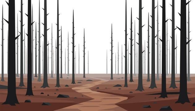 Path winding through a forest of charred and burnt trees after a fire disaster illustrating the aftermath of wildfires and ecological damage.