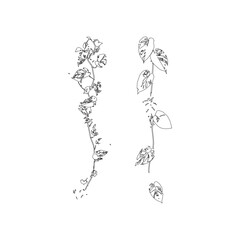 Fototapeta premium Detailed hanging ivy and monstera leaf vine vector illustration for aesthetic decor art.