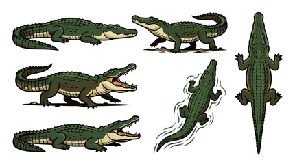 Fototapeta premium Crocodile Pose Icon Set Vector Collection