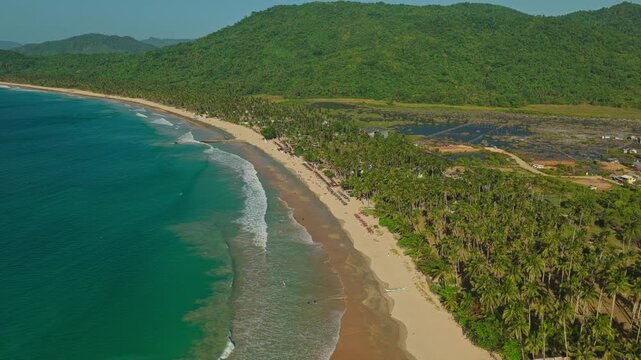 Aerial Descent Over Nacpan Beach in El Nido, Philippines. Cinematic Drone Vertical Pedestal Down View of Sweeping Golden Sand Shoreline, Coconut Palms, and Ocean Surf.