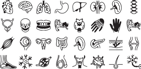 Fototapeta premium Mega Vector Icon Bundle: UI, Medical, Science, Food & Eco Symbols