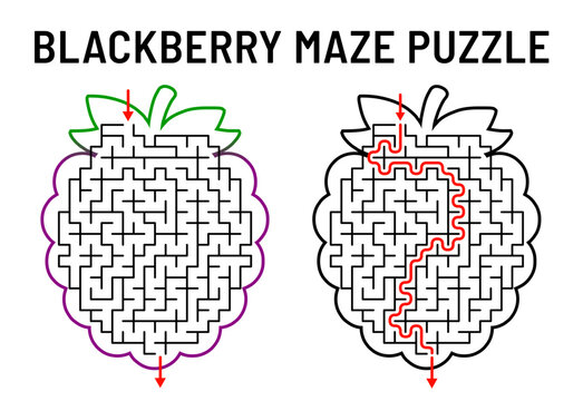 Blackberry maze puzzle with solution for children
