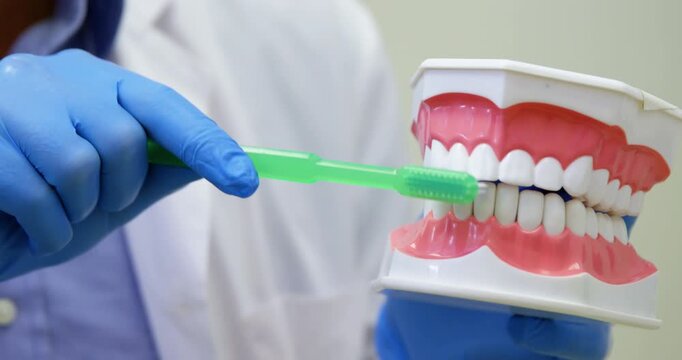 Patient Brushing Teeth During Dental Checkup with Dentist Holding Toothbrush and Dental Instruments in Modern Medical Clinic