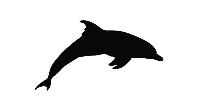 Silhouette of a Dolphin Leaping Out of Water.