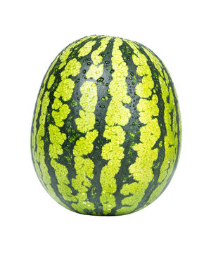 fresh watermelon fruit juicy summer melon with natural freshness, healthy taste, and vibrant tropical appeal