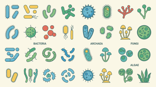 A diverse collection of various microorganisms and fungi illustrated in a detailed infographic.