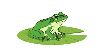 Obraz premium Vector illustration of a green frog sitting on a circular green lily pad isolated on a white background. Features include large eyes, webbed feet, and stylized line art contours.