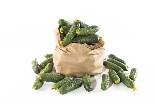 Farm green cucumbers in paper bag. Eco-friendly packaging for vegetables. Fresh vegetables for dietary nutrition. Low-calorie food. Healthy eating. Copy space. Isolated object