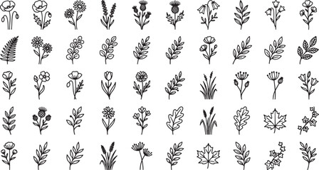 Fototapeta premium Hand drawn floral and botanical elements set featuring various wildflowers leaves and herbs in black ink style
