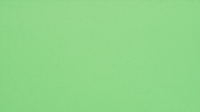 Australian Huntsman spider Sparassidae walks diagonally from right to left across green screen