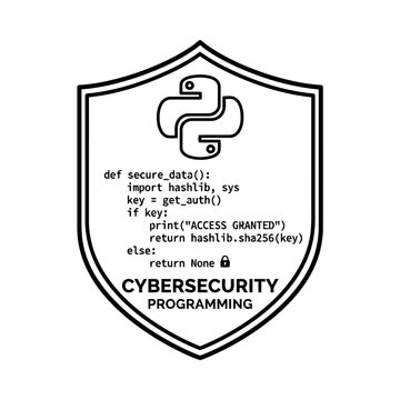 Python Cybersecurity Programming Shield Line Icon
