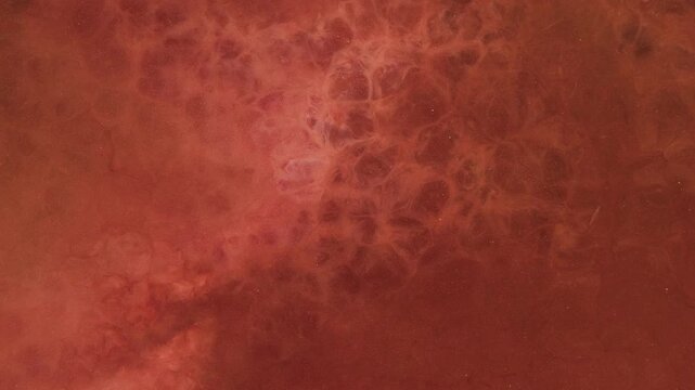 Alcohol ink spreads in macro view showing color interactions and patterns in contemporary art