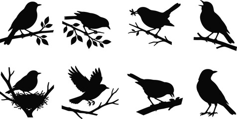 Fototapeta premium Songbird Silhouette Collection Set with Perched Singing Nesting and Flying Birds