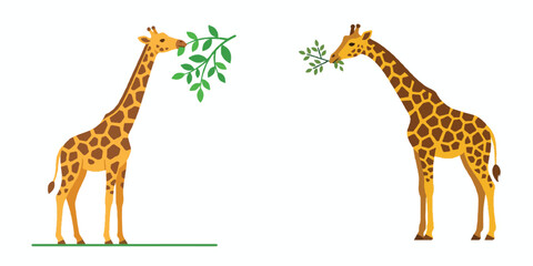 Obraz premium A tall giraffe eating a leaf, simple minimalist flat design, long elegant neck, no outline, yellow and brown pattern, solid white background, vector illustration style. 