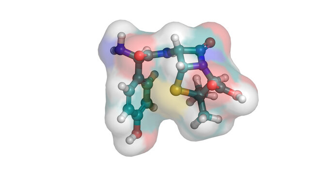Amoxicillin, moderate-spectrum beta-lactam antibiotic and bacterial cell wall synthesis inhibitor for systemic infections, 3D molecule 4K 