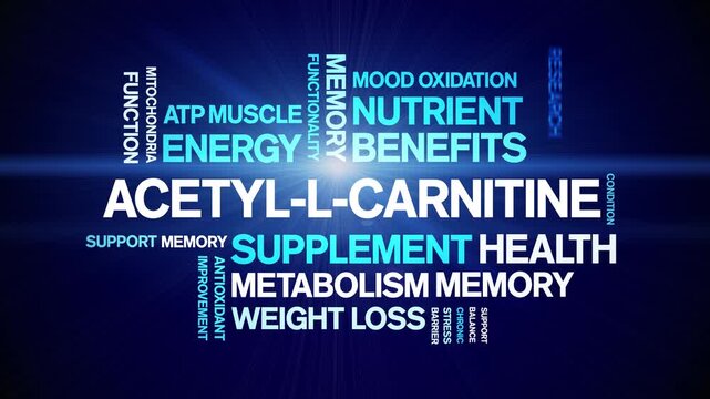 n acetyl l carnitine benefits Buy L-Carnitine by EHPlabs online The Difference Between L-Carnitine &