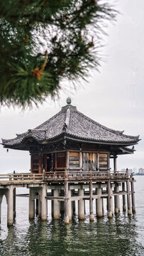 松の木と満月寺浮御堂