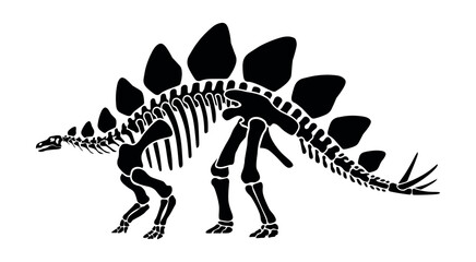 Black silhouette of a stegosaurus dinosaur skeleton on white background © Razvi hasan