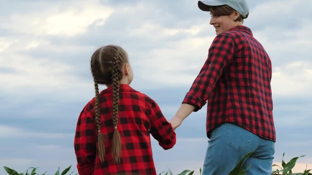 Mother agronomist talks to child holding hands on corn plantation. Mom agronomist shares moments with girl wandering on field. Daughter spends holidays with mum farmer in corn field under cloudy sky