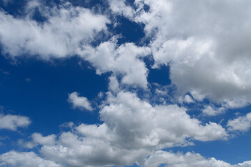 Fototapeta premium 夏の鮮やかな青空とダイナミックな白雲 コピースペース