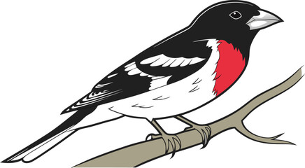 Fototapeta premium Rose breasted grosbeak perched on a tree branch vector illustration with grosbeak wildlife ornithology passerine illustration feathers environment woodland isolated background