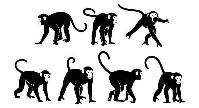 Collection of Black Monkey Silhouettes on White Background.