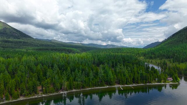 Scenic drone rising shot moving backwards from the shore of Multinskoe Lake, revealing a majestic panorama of tall cedar trees on the riverbank in Altai.