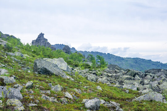 Mountain landscape with rocks and green grass under cloudy sky in summer