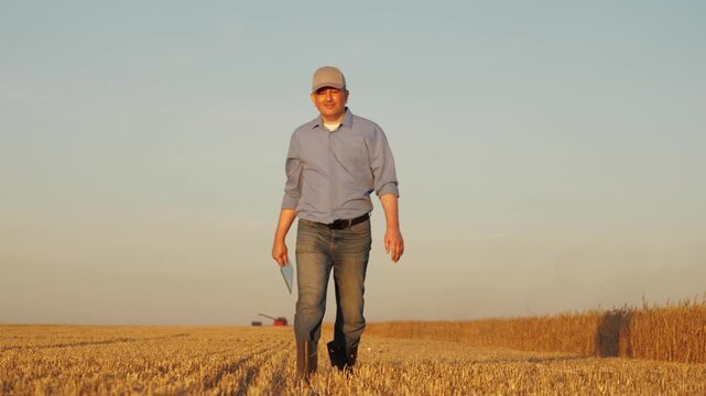 farmer working in wheat field, combine harvester ploughing in wheat field, agriculture tablet, data-driven farming practices, efficient wheat harvest, crop yield optimization, integration of