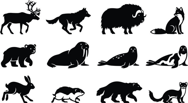 Arctic and Polar Wild Animal Silhouette Set Featuring Reindeer Wolf Muskox Polar Bear Walrus Seal Fox Hare and Wolverine Vectors