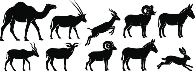 Desert and Arid Climate Wild Animal Silhouette Set Featuring Camel Oryx Gazelle Ram Ibex Donkey and Hare Vectors © MdShagarAli