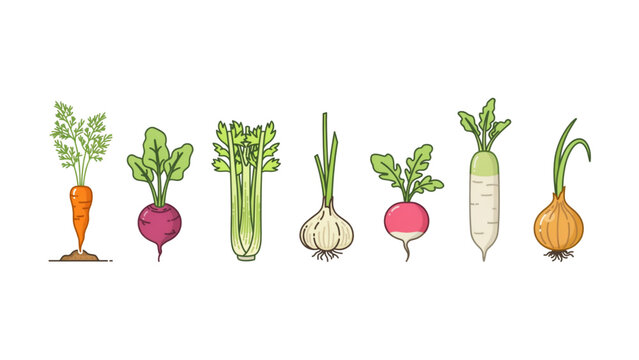 Flat illustration of seven colorful vegetables in a row