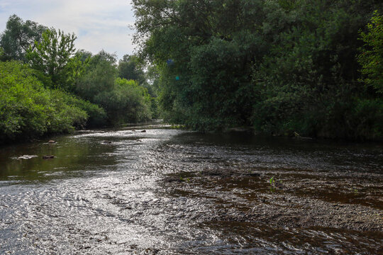 A wide forest river with a rocky bed slowly flows between dense green trees and bushes on a sunny day. The picturesque landscape conveys a peaceful atmosphere of wildlife, ecological purity, summer wa