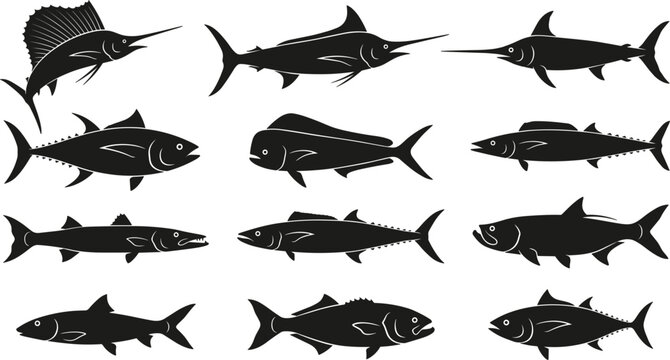 Ocean Big Game Fish Silhouette Set Featuring Sailfish Marlin Swordfish Tuna Mahi Mahi and Barracuda for Marine Fishing Vector Designs