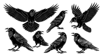 Obraz premium Vintage Illustration of Black Crows in Multiple Poses.
