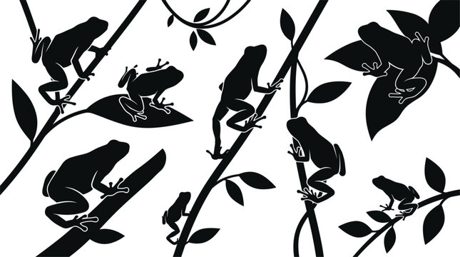 Tropical Tree Frog Silhouette Collection Featuring Various Amphibian Poses on Jungle Leaves and Vines for Nature Inspired Vector Designs