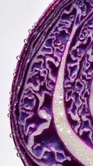 Fototapeta premium Extreme Macro Slice of Red Cabbage with Hypnotic Purple Leaf Patterns