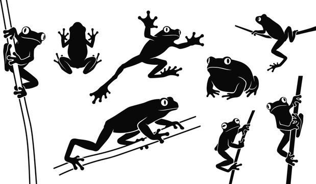 Tropical Tree Frog Silhouette Set Featuring Various Amphibian Poses Climbing Jumping and Sitting on Vines for Nature Vector Designs