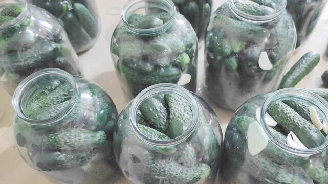 Top view of multiple glass jars packed with fresh green cucumbers and garlic cloves ready for home pickling.