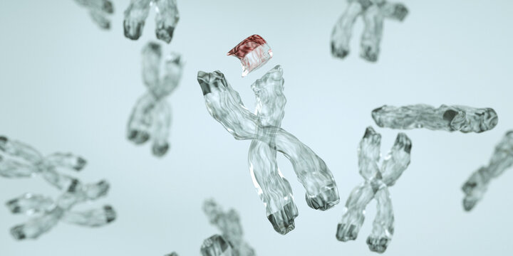 Chromosomal deletion is a type of structural mutation where a portion of a chromosome is missing or lost. Terminal Deletion, Photo stock