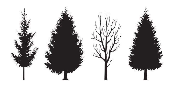 Detailed black tree silhouettes of forest conifers and leafless deciduous species on transparent backdrop.