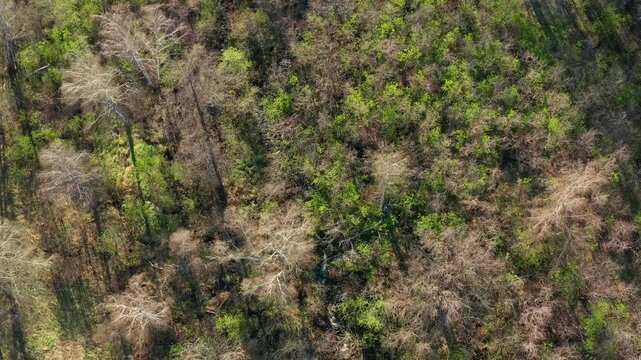 Southern Urals in spring: the Irendyk ridge and the Khudolaz River. Aerial view.