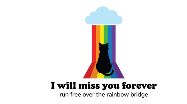 Minimalist vector illustration featuring a black cat silhouette sitting before a vibrant colorful rainbow bridge