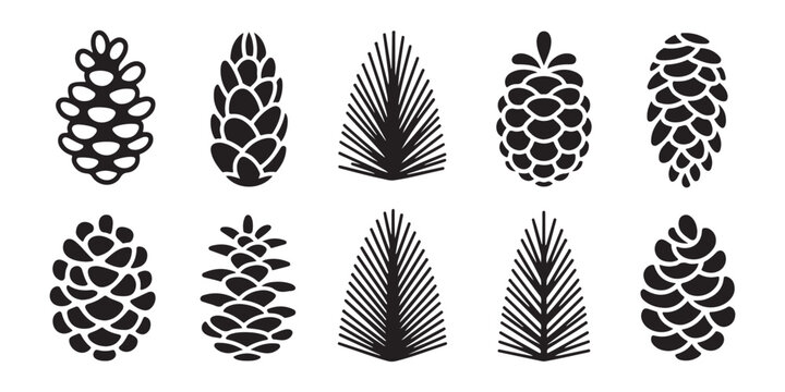 Set of pine cones and evergreen tree branch silhouettes isolated on transparent background for winter design.